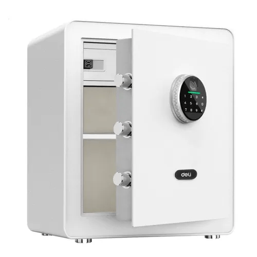 Deli ET634 Fingerprint Password Digital Locker Price in Bangladesh