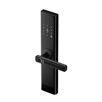 LifeSmart C200 Smart Door Lock